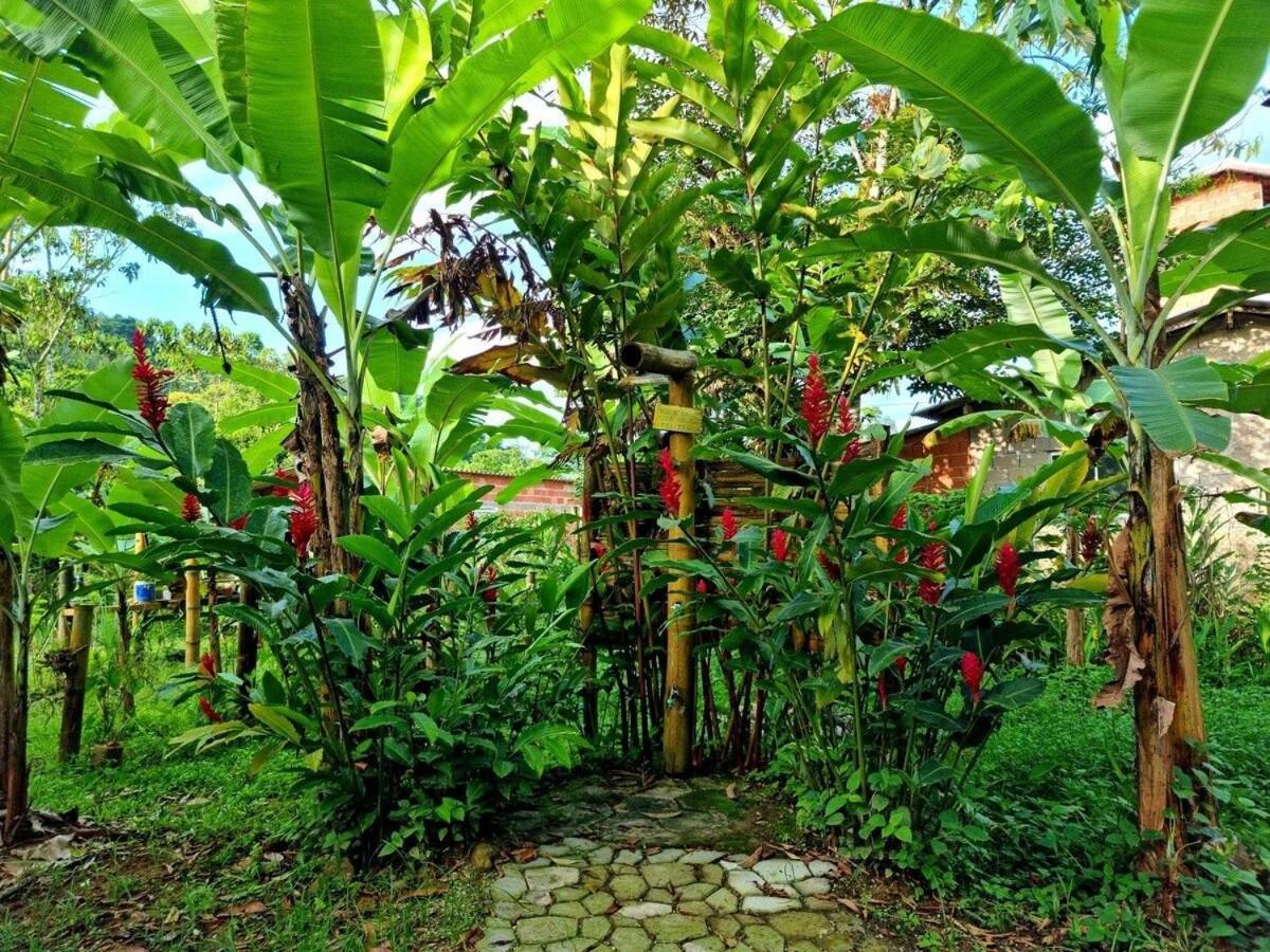 Cambuca Surf Skate Holiday home Ubatuba