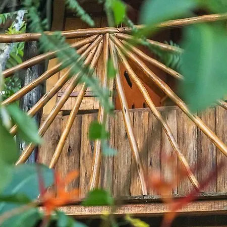 Cambuca Surf Skate Villa Ubatuba Exterior photo
